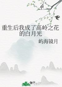 重生后我成了高岭之花的白月光