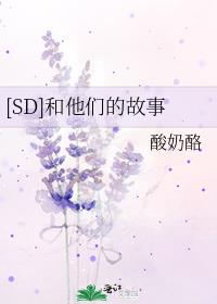 [SD]和他们的故事