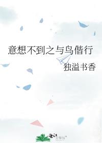 意想不到之与鸟偕行