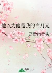 他以为他是我的白月光