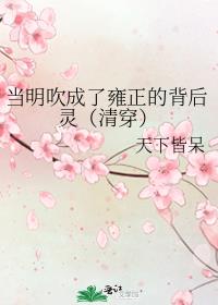 当明吹成了雍正的背后灵（清穿）