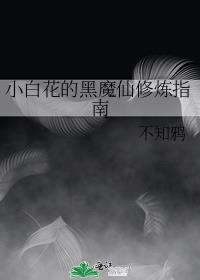 小白花的黑魔仙修炼指南