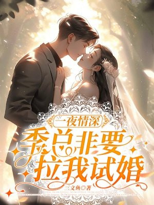 一夜情深：季总非要拉我试婚