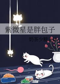 紫微星是胖包子