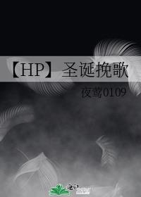 【HP】圣诞挽歌