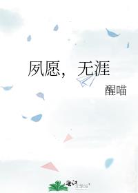 夙愿，无涯